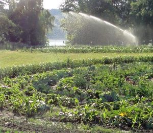 gartenkreise an der havelseite