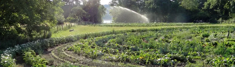 gartenkreise an der havelseite