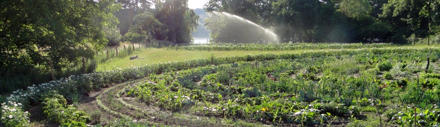 Berlin Havelmathen » bauerngarten