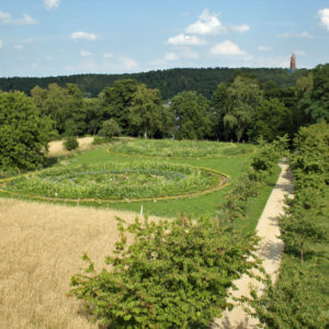 blick auf grunewaldturm