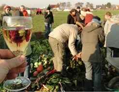 Bauerngarten Mette fast ausverkauft!