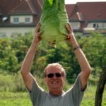 Gärtner mit Spitzkohl