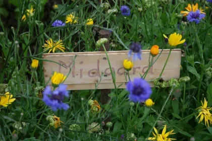 schild