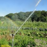 automatische Garten-Bewässerung im Sommer
