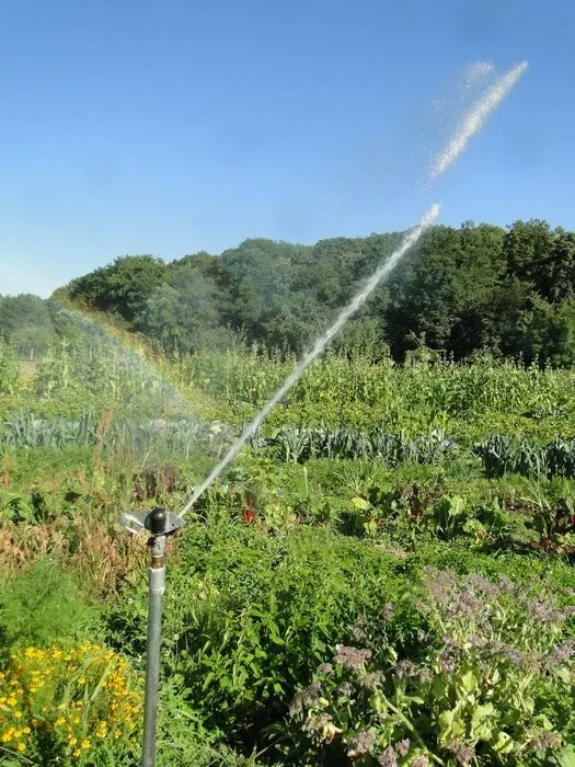 automatische Garten-Bewässerung im Sommer