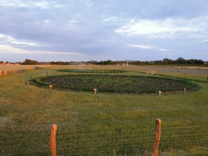bauerngarten_mette_abends