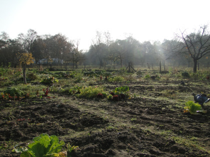 Herbsteindruck Havelmathen