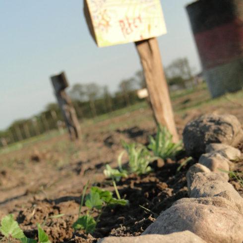 Rasenmäherrapport: Schilder und Steine » bauerngarten