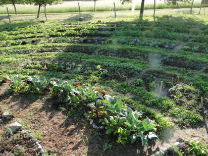 Gartenkreise Pankow