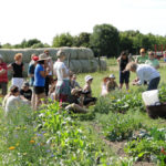 Bio-Gartenbau-Workshop im Bauerngarten Berlin Süd