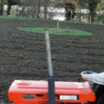 Bauerngarten im November - plattgemacht