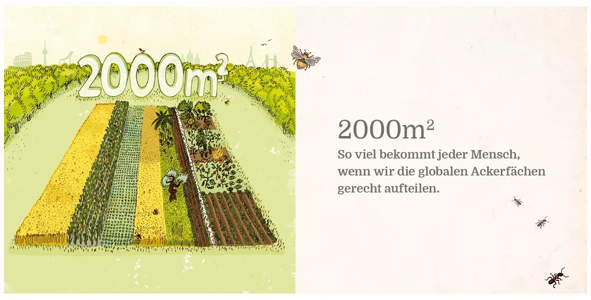 Havelmathen: Der neue Nachbar