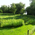 Havelmathen Garten mit Havelblick