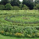 bauerngarten-kreise in pankow 2014