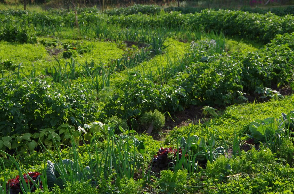 bauerngarten-Knigge