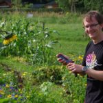 Erntezeit im Juli - alles im Plan