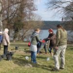 sträucher pflanzen im bauerngarten