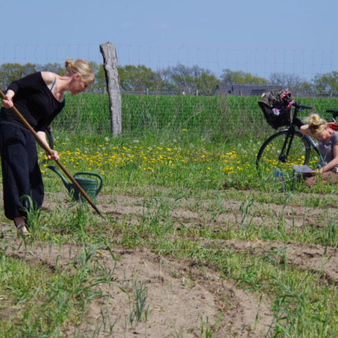 Hacken – wie richtig? » bauerngarten