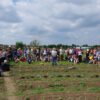workshop garten bauerngarten kurs in mette