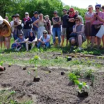 Workshop Fruchtgemüse Mette Bauerngarten