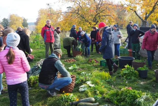 Mitgärtnern ohne Parzelle