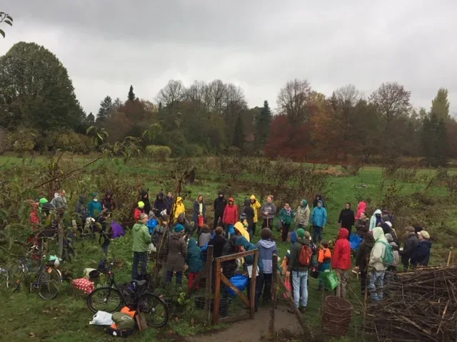 Mitgärtnern ohne Parzelle – Bild 4